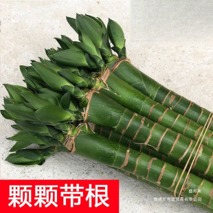 ���񎧸����F��ˮ�Bֲ���^�����񹝹��߿͏d�҃�ˮ��Gֲ��������