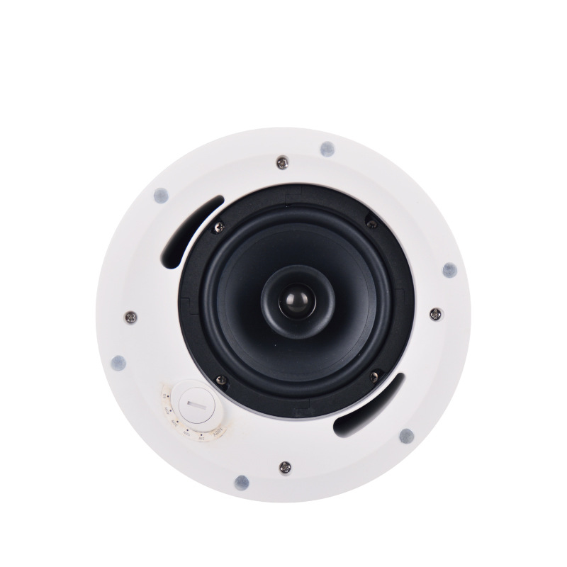 BBS YS-1505 Full frequency coaxial Ceiling speaker