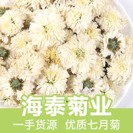 白菊花500g黄山贡菊七月菊散装花茶菊花茶批发太阳花花瓣量大价优
