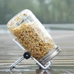 亞馬遜豆芽菜發芽罐梅森玻璃發芽瓶豆自製豆芽發芽盆桶生豆芽神器