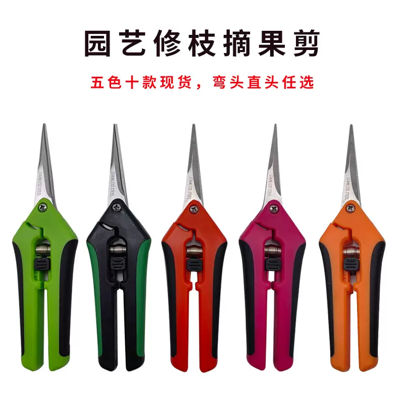 园艺剪刀 水果葡萄采摘剪刀 果枝剪修枝剪直头弯头不锈钢 稀果剪