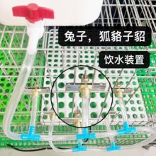 兔用全铜自动饮水器狐狸用饮水嘴 貉子饮水器貂用鸭嘴饮水器包邮