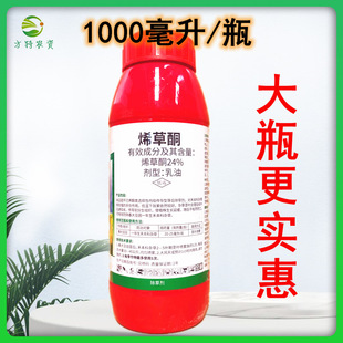 ���_�̵� ϩ��ͪϡ���~ϩ�ݞ�ϩ���~ϣ��ͪ �������݄�ţ���