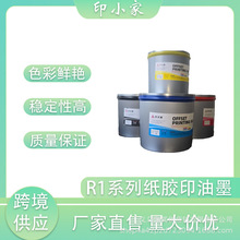 跨境印纸油墨 印小家R1系列单张纸胶印油墨 彩色油墨印刷耗材