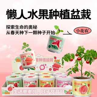 小花农懒人水果种植盆栽情绪稳定花盆治愈系植物福州源头厂家批发