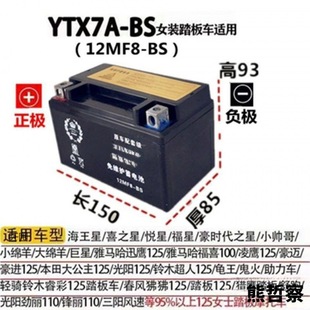 Motorcycle Battery 12 Volt Maintenance-Free Dry Battery Women's Scooter Battery