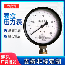 膜盒压力表YE100隔膜耐震压力表气压表不锈钢水压油压螺纹燃气表