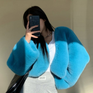 South Korea Dongdaemun Vintage Fashion Young OL Style Short Thickened Environmental Friendly Plush Faux Fur Jacket for Autumn and Winter for Women