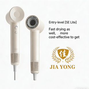 High-speed Ionic Hotel Hair Dryer