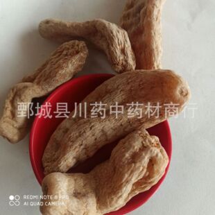 �a��؛Դ�������l���� ����Ƭ ���邀 �����ӡ���ș��ș�ġ�