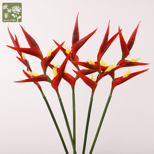 ��Ʒ�|�����Q���m ���Q�����B���z�ٻ���c�zӰ �b�ȸ���滨