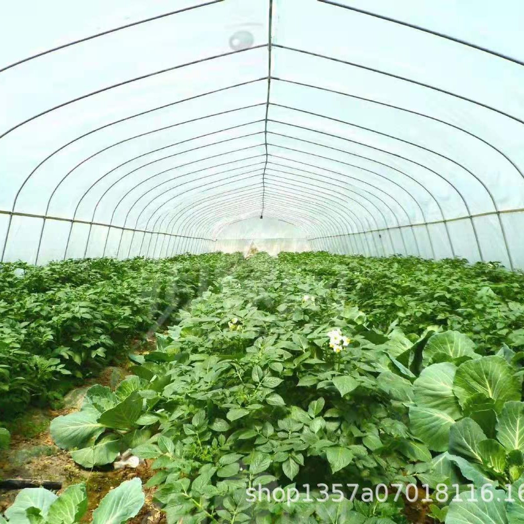 重庆鲁盛坤批发大棚镀锌钢管 万州大棚配件 涪陵卡槽 现货充足