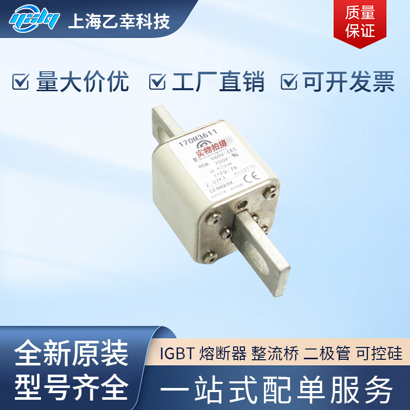 巴斯曼熔断器  170M4063 170M4064 170M4065 170M4066 170M4067