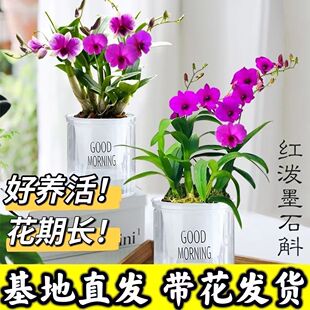�ش��莧���t��īʯ���m�ļ��_����ʯ�����������̨�k���Һ��B