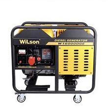 12kw 12kva���ͷ�������ܴ��ʷ����220V 50hz����������ֱ��