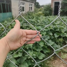 ��\ţ��늺��W�Bֳ�F�z����Ȧ���ù��@���x�B�u��ԭ�W�o��