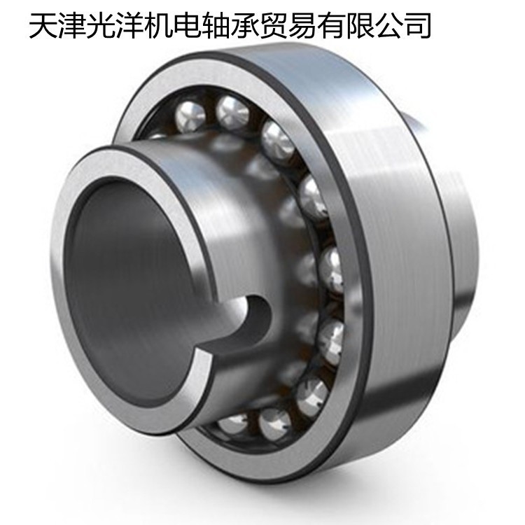 FAG轴承   2303TVH 2304TVH 2305 2306 2307 2308 2309 2310TVH