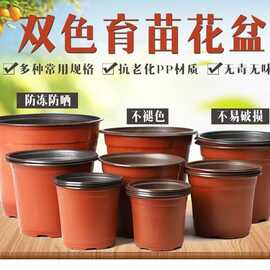 双色花盆育苗盆营养钵种植盆一次性加厚扦插盆软塑料盆种菜盆批发