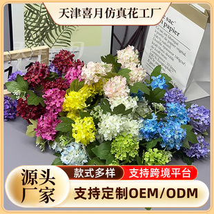 �羳 5�^ѩ����滨��֦��c�Ĕz���߽����S����ѩ�򻨶�ɫ���x