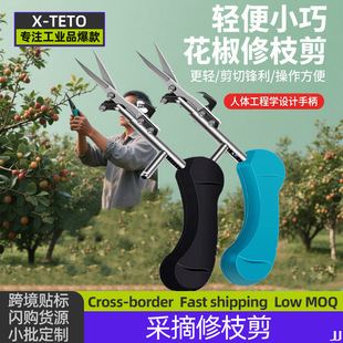 �羳��֦��������轲�ժ�����^�ɹ�������������֦���~�ɹ���ˇ��