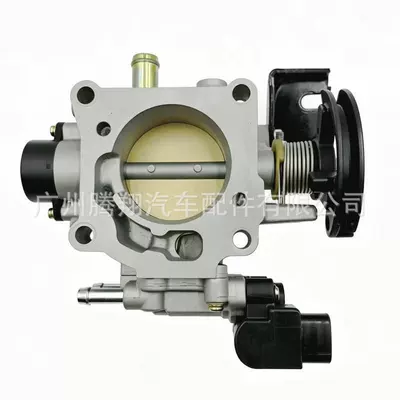 22030-0D110 220300D110 Throttle Drossel