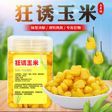 ��~�����������D��Ұ��a�~�c�~�Ò��h��������~�������羳�~�D