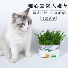 Cat Soil-Free Lazy Water Cultivation Cat Grass Portable Seed Pack Cat Snack Hairball Removal Pet Food