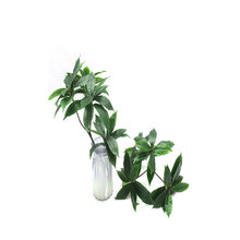 仿真杨树油茶叶绿植新木荷叶何树珂树叶乔木茶园林装饰摆设批发