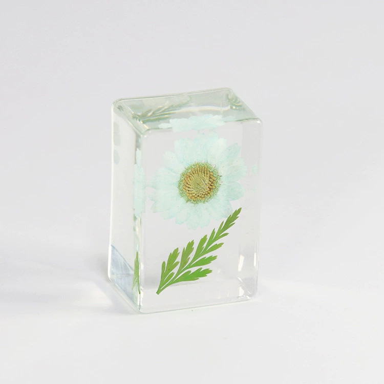 연한 녹색 해바라기 (6개부터 경매 시작)