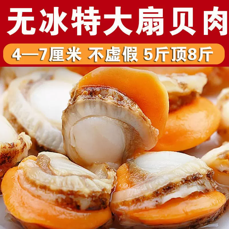 特大扇贝肉手工现剥扇贝肉特级扇贝带黄新鲜速冻扇贝工厂直销包邮