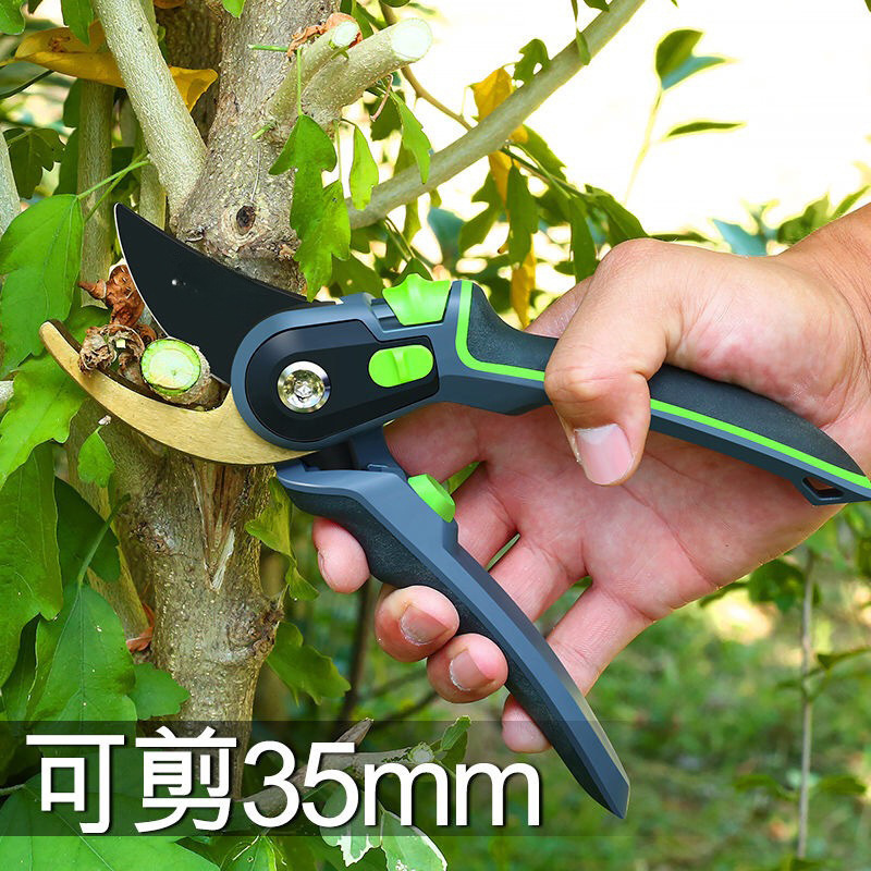 园艺剪刀 剪枝剪刀 修剪树枝果树修枝剪 园林剪刀 花剪剪花枝鲸辰