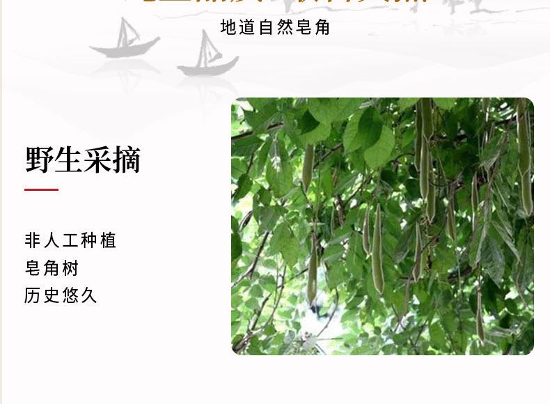 Chinese Honey Locust Zao Jiao Dried Pods Natural Herbal Segments for External Use key features