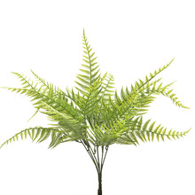 �����˹ާ  ����ֲ���� �ٻ�����ˮ����� ���~��ާ�ֲ��