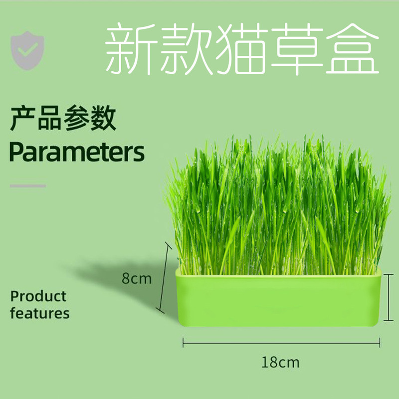 Cat Snacks Transparent Cat Potted Hydroponic Cat Grass Self-Sown Indoor Green Plants Ready-To-Eat Wheat Seeds Kitten Pet Snacks