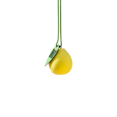 Car Interior Fruit Grapefruit | Car hanging