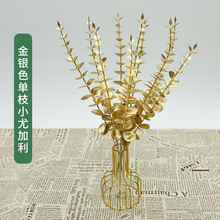 yɫϵ֦Сȼ Gֲ c^̈滨zӰ