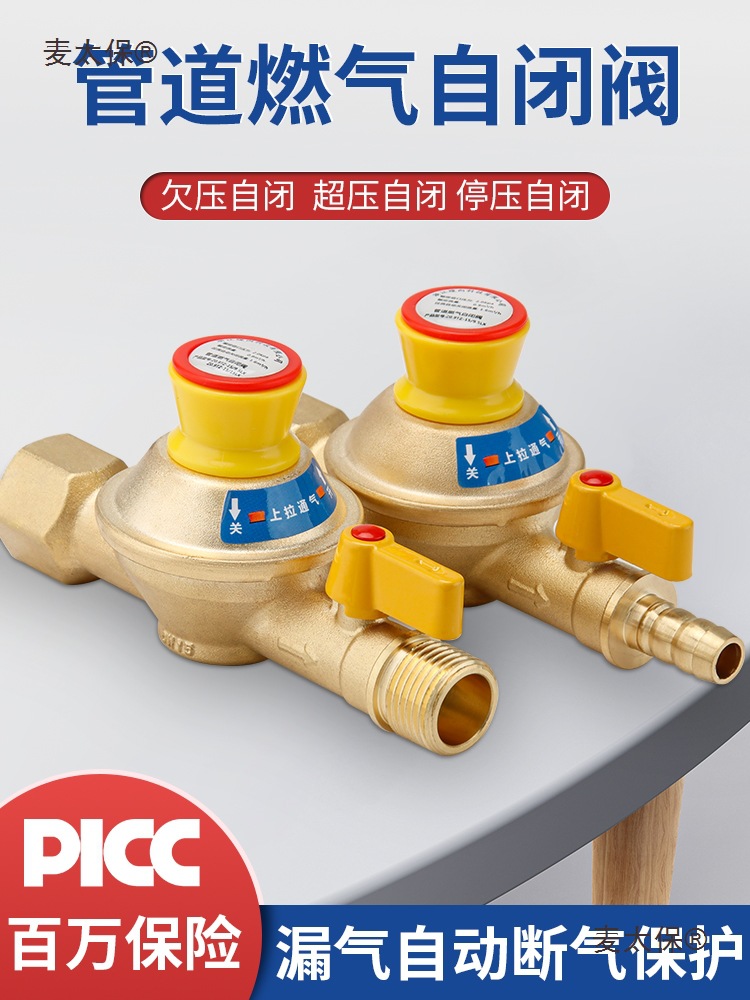 天燃气阀自动切断阀家用天然气管道燃气自闭阀麦太保