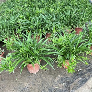 ���~��߅���m���ٴ����҃ȴ����������Կ͏d�ļ����������՚�ֲ��