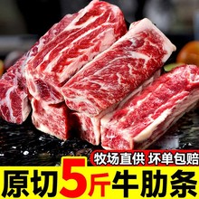 �����M��ԭ�й����˹ţ�ߗl�r��ţ�����rɢ�Bţ��ȥ�ǟ�������