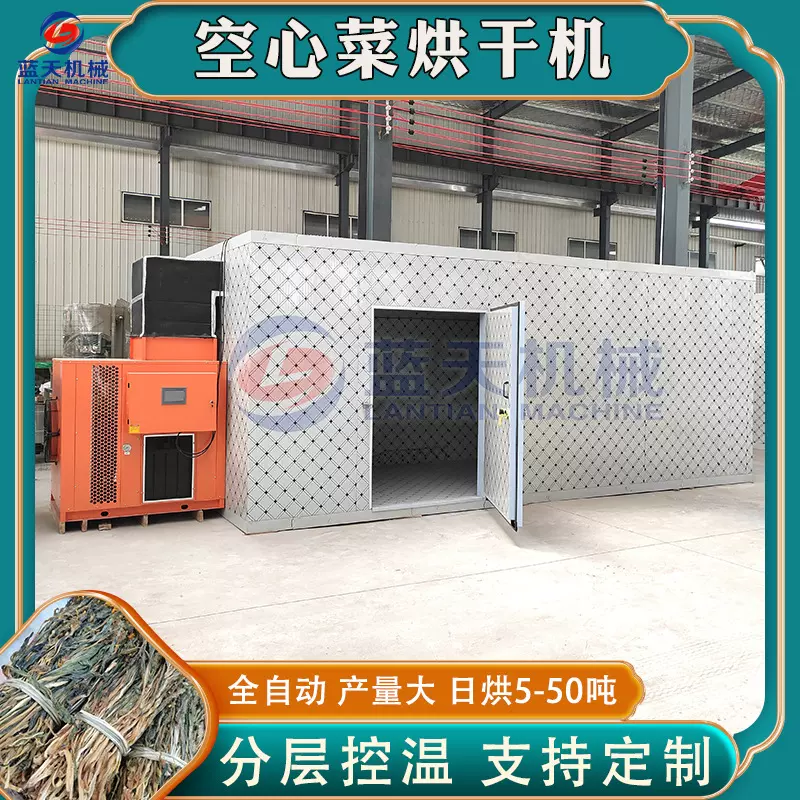 通心菜烘干设备 无心菜野菜蔬菜清洗包装烘干生产线 空心菜烘干机