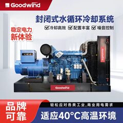 潍柴柴油发电机组200kw全铜无刷稳定功率低排环保柴油发电机组