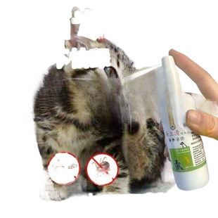 һ��؈���F��؈С؈؈��x����ș��������xȥʭ�Ӵ��l��؈���׹�