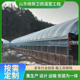 养鸡大棚养猪大棚各种养殖大棚养鸭大棚养鹅大棚可来料加工定制