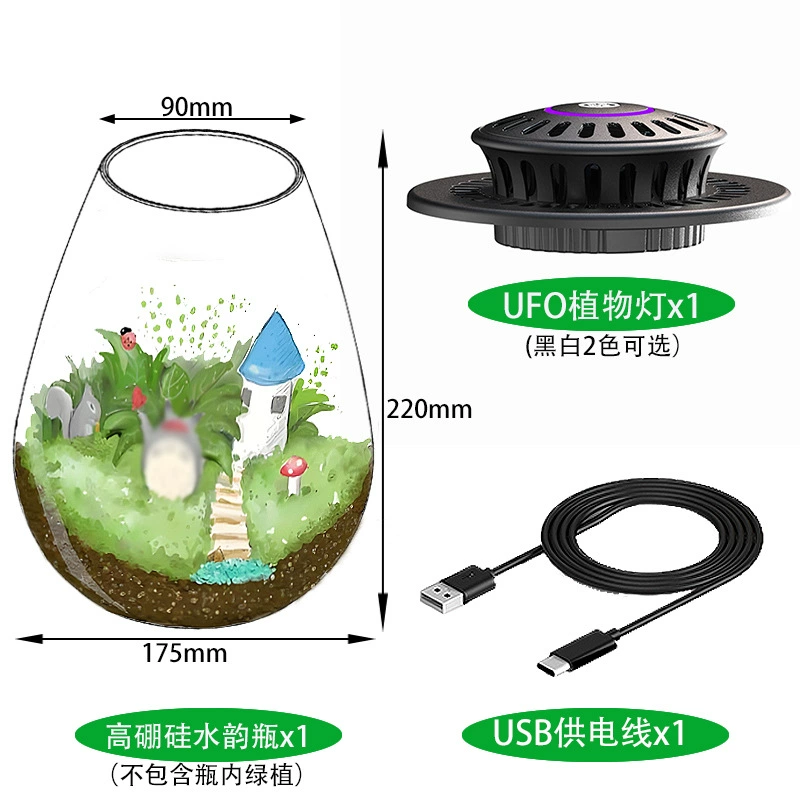 Набор для микроландшафта Van Nong: бутылка-реквирист из высокоборосиликатного стекла, лампа для растений, экологический аквариум, контейнер для мха и миниатюрных растений