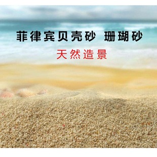 �����eɳɺ��ɳ �ľ�зɳؐ��ɰ��ϴ ���װ׼�ɳ�~����Ȼ�쾰