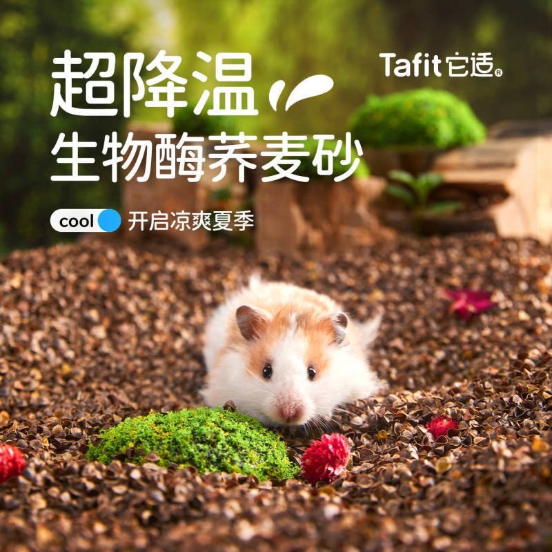 它适生物酶荞麦砂仓鼠垫料夏季降温除臭木屑无尘挖掘沙金丝熊刨挖|undefined