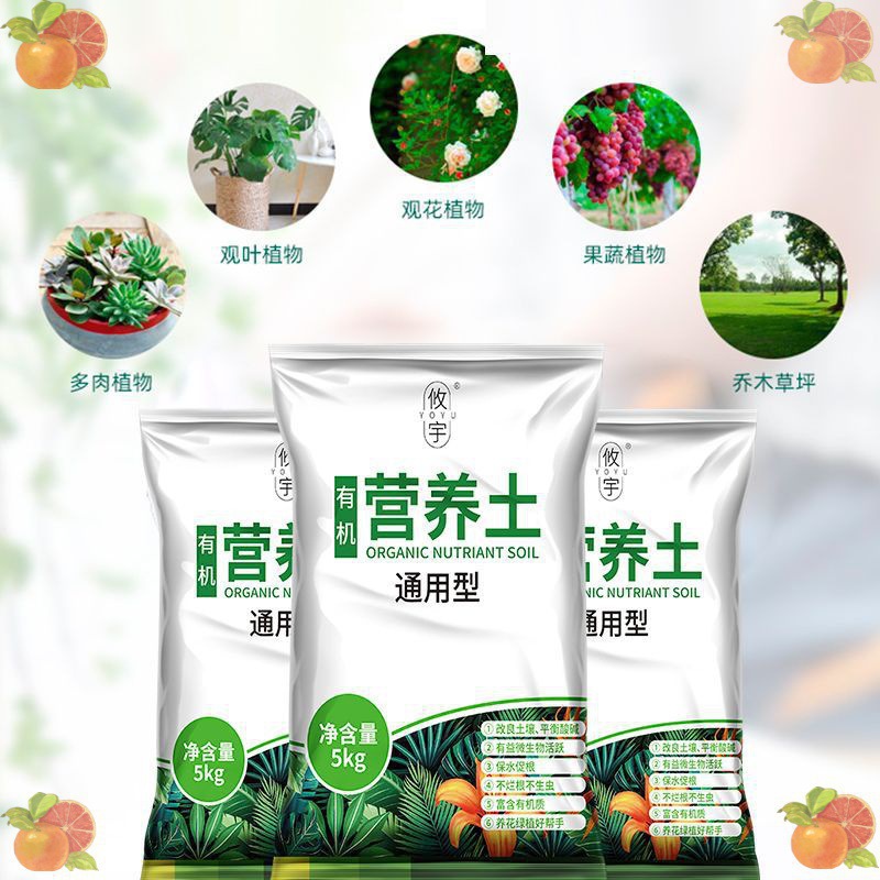 O1CN01wOoTD11yUbsicy0Of_!!2218381076582-