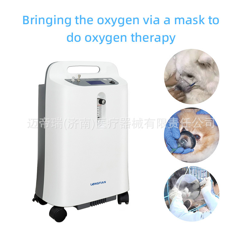 Cross-Border Promotional Hot-Selling Product: Low-Priced, High-Quality Portable Oxygen Generator, Household Mobile Oxygen Generator 5Dw Vet