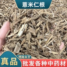 中药材薏米根新货 米仁根 薏苡根 薏苡仁根 薏米仁根批发代发