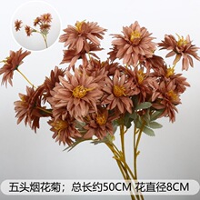 ������ɫ����ɫ��ˇ��c��픽���·��������ɫ����Y���ٻ����滨
